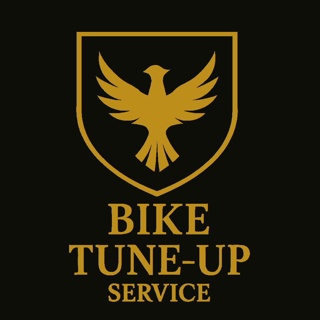 Bike Tune-Up Service