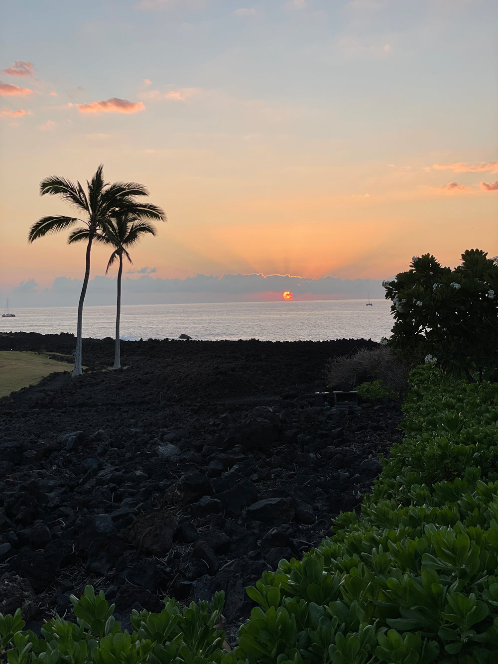 Beautiful Hawaiian sunset over the ocean with palm trees in the foreground, casting a serene glow on the volcanic rock coastline and lush greenery